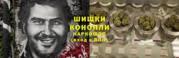 PSILOCYBIN Ельня