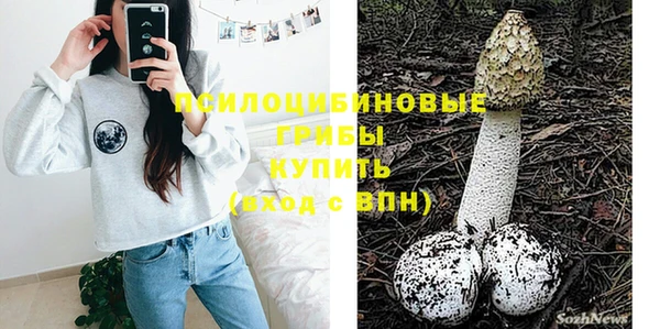 стафф Елабуга