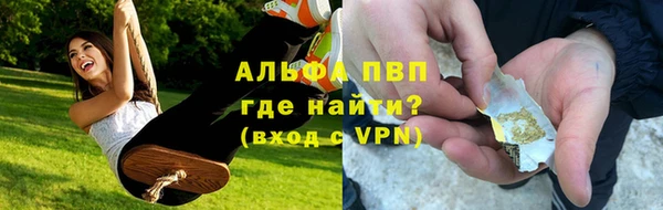 стафф Елабуга
