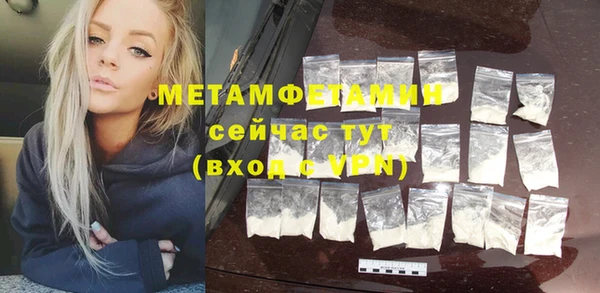 PSILOCYBIN Ельня