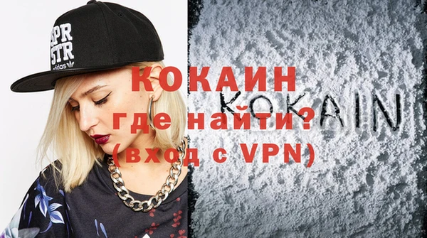 PSILOCYBIN Ельня