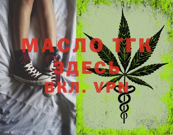 PSILOCYBIN Ельня