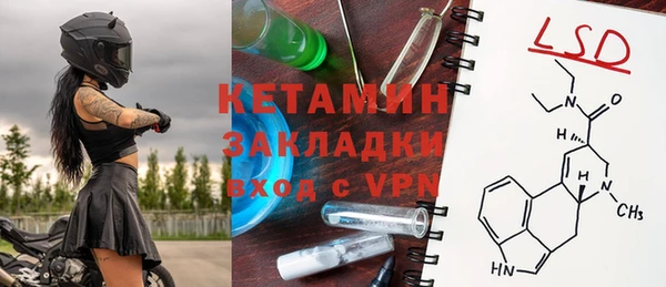 PSILOCYBIN Ельня