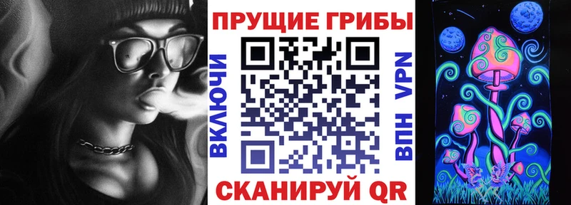 как найти закладки  Шумерля  shop Telegram  Галлюциногенные грибы Psilocybine cubensis 