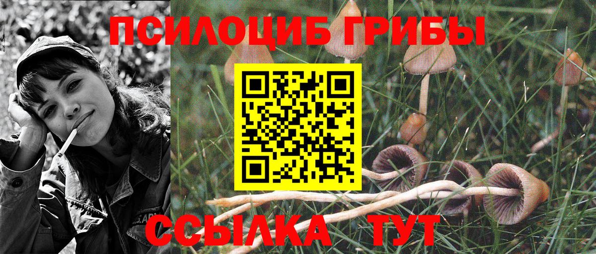 Шумерля  Псилоцибиновые грибы Magic Shrooms  Вход с VPN  Галлюциногенные грибы мухоморы 